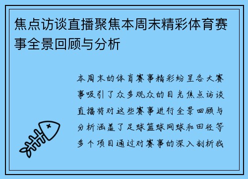 焦点访谈直播聚焦本周末精彩体育赛事全景回顾与分析